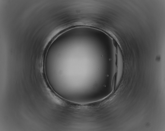X0000091531131200708241706