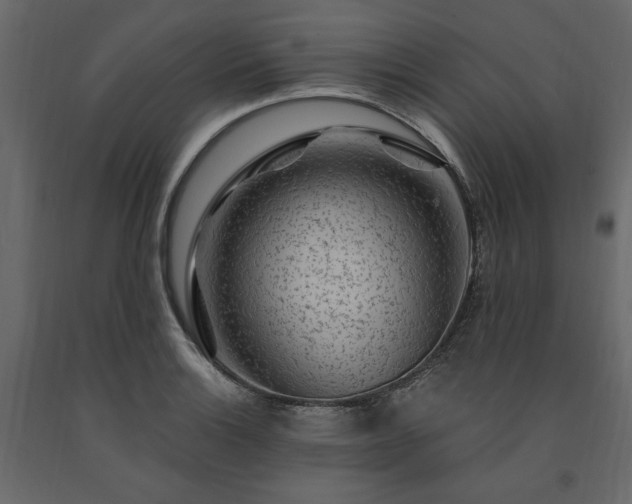 X0000091531132200708241706