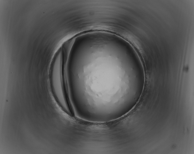 X0000091531133200708241706