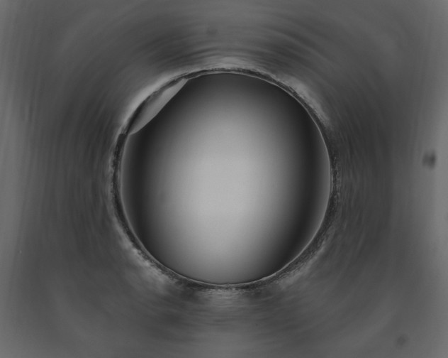 X0000091531134200708241706