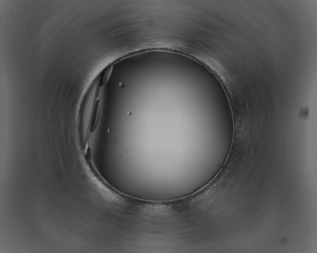 X0000091531135200708241706
