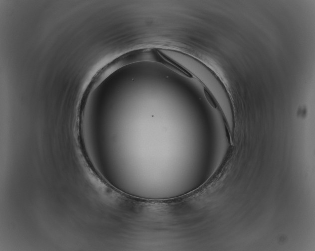 X0000091531136200708241706
