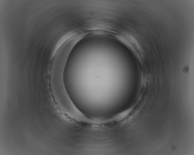 X0000091531138200708241706