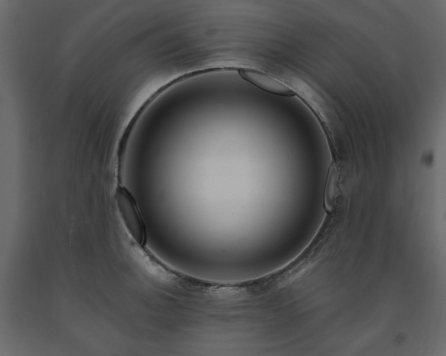 X0000091531140200708241706