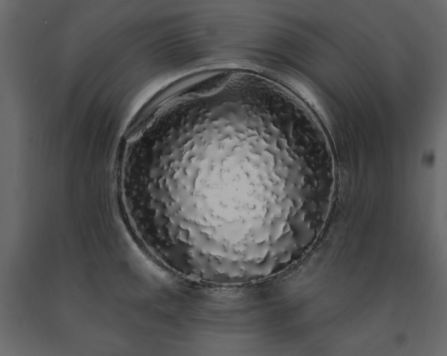 X0000091531141200708241706