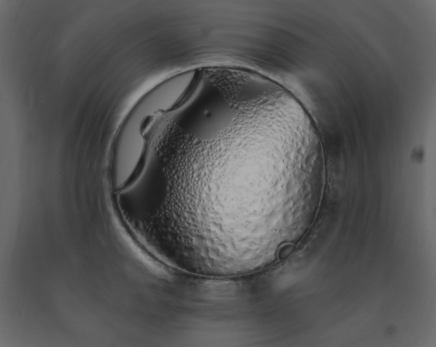 X0000091531142200708241706