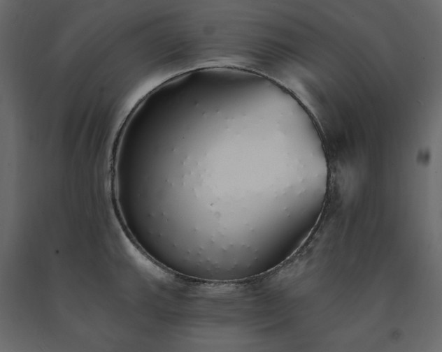 X0000091531143200708241706