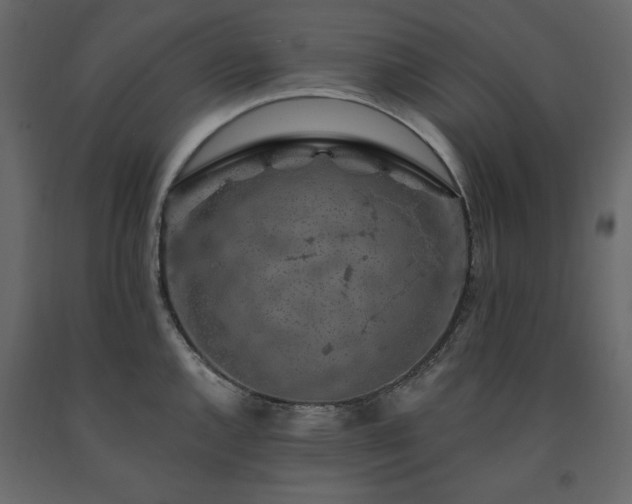 X0000091531144200708241706