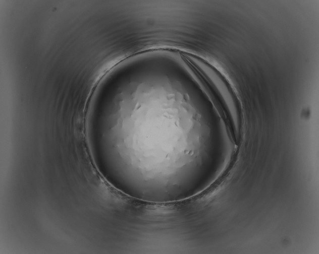 X0000091531145200708241706