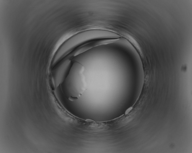 X0000091531146200708241706