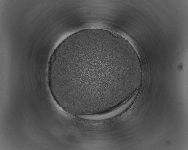 X0000091531147200708241706
