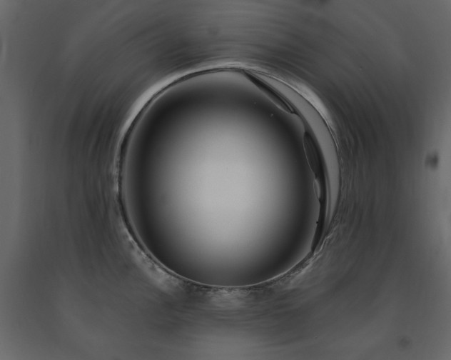X0000091531148200708241706