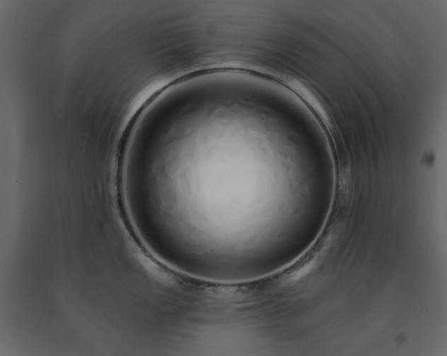 X0000091531149200708241706