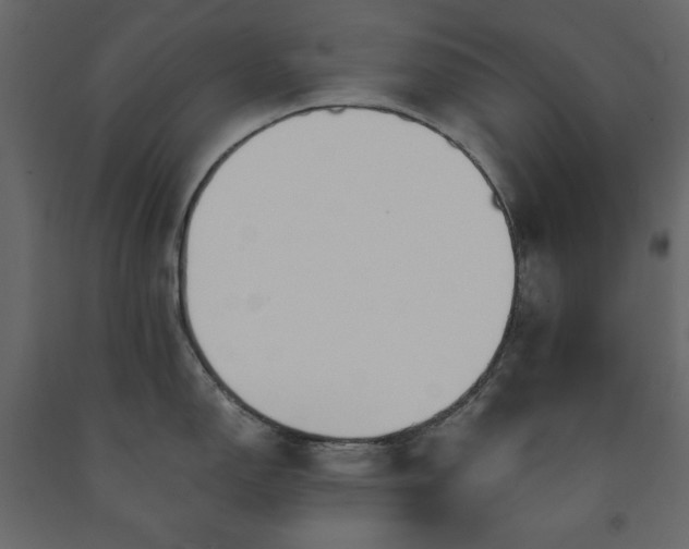 X0000091531150200708241706