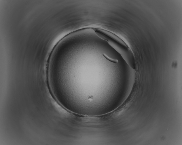 X0000091531151200708241706