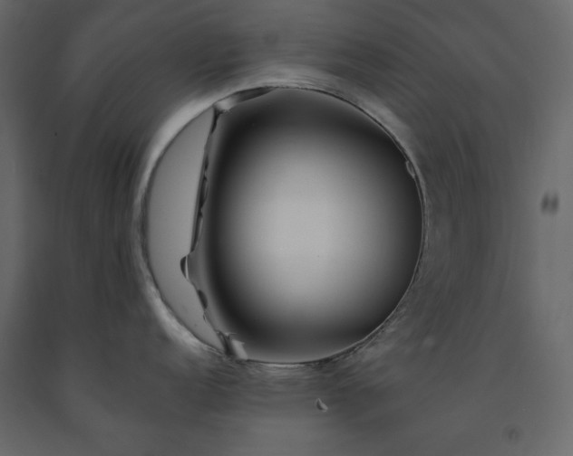 X0000091531152200708241706