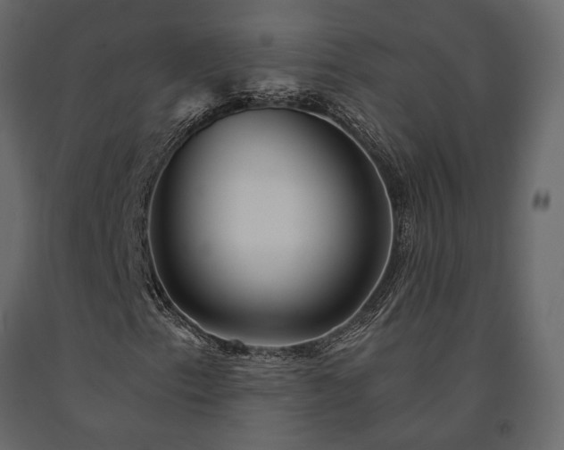 X0000091531153200708241705