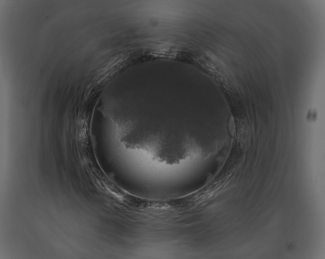 X0000091531154200708241705
