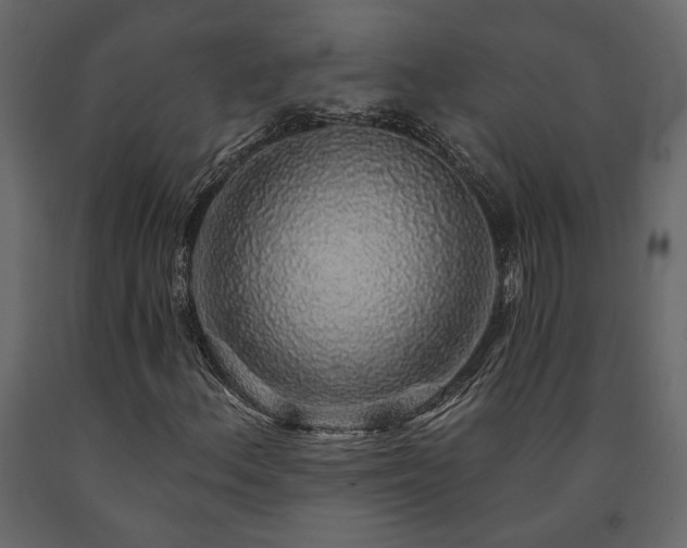 X0000091531156200708241705