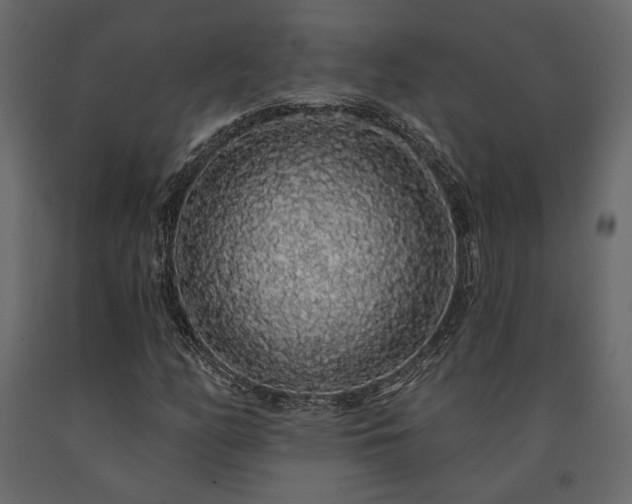 X0000091531158200708241705