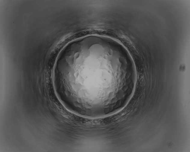X0000091531159200708241705