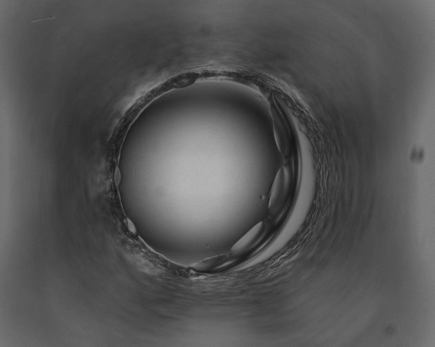 X0000091531160200708241705