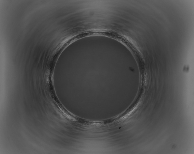 X0000091531161200708241705