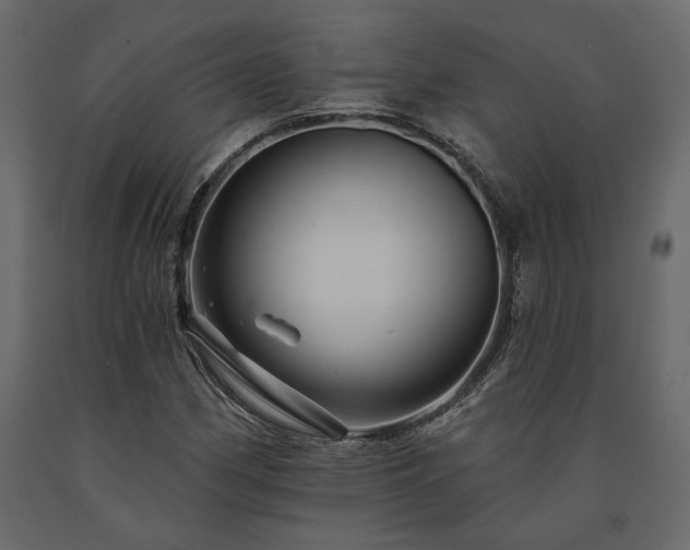 X0000091531162200708241705