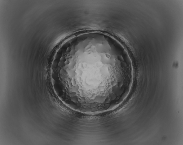 X0000091531163200708241705