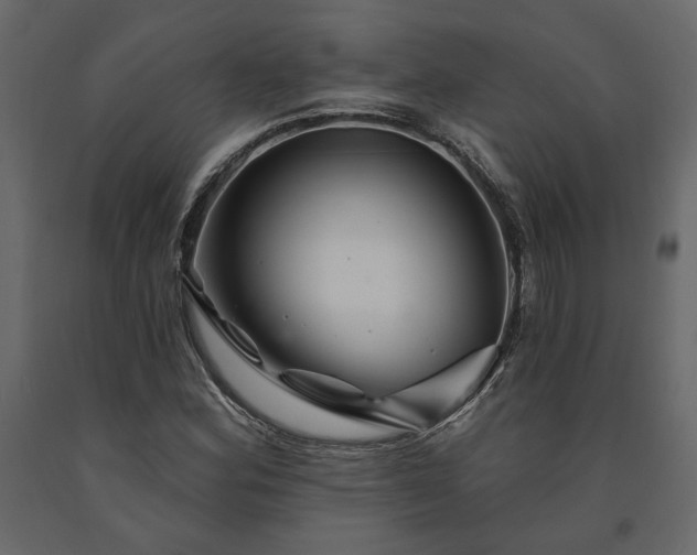 X0000091531164200708241705