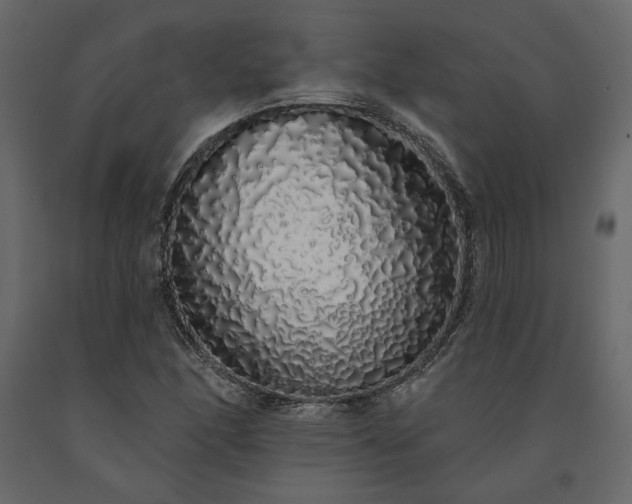 X0000091531166200708241705