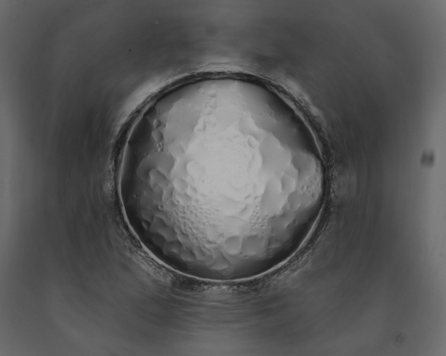 X0000091531167200708241705