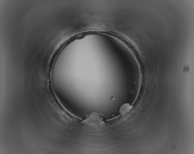 X0000091531168200708241705