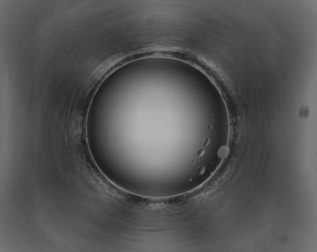 X0000091531169200708241705