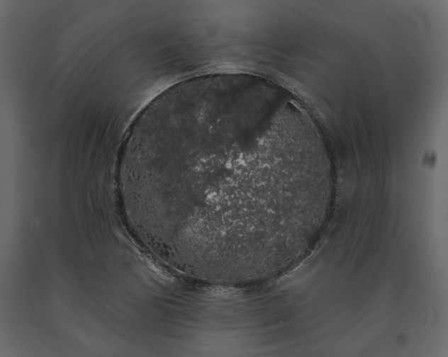 X0000091531170200708241705
