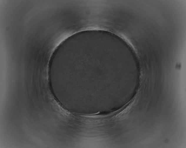 X0000091531173200708241705