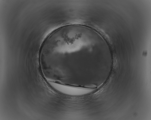 X0000091531174200708241705