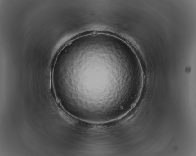 X0000091531175200708241705