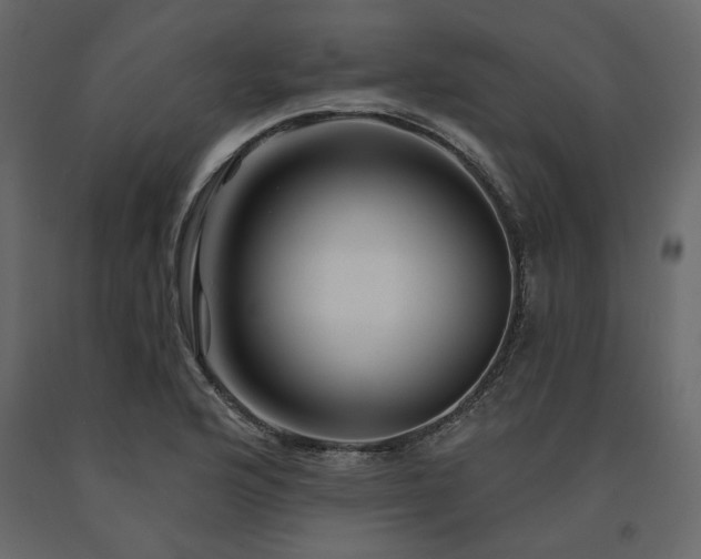 X0000091531176200708241705