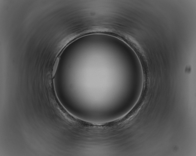 X0000091531177200708241705
