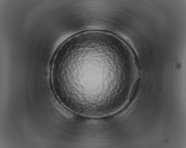 X0000091531179200708241705