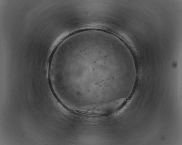 X0000091531180200708241705