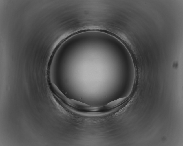 X0000091531181200708241705