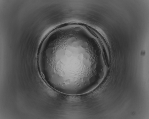 X0000091531183200708241705