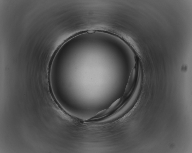 X0000091531184200708241705