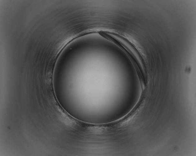 X0000091531185200708241705