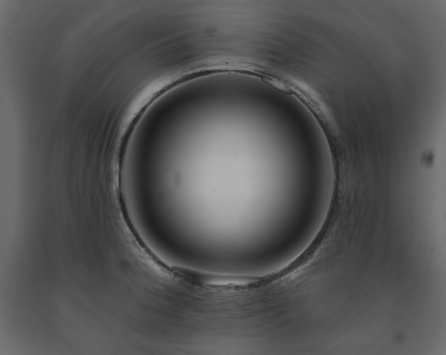 X0000091531188200708241705