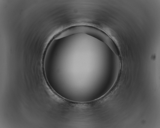 X0000091531189200708241705