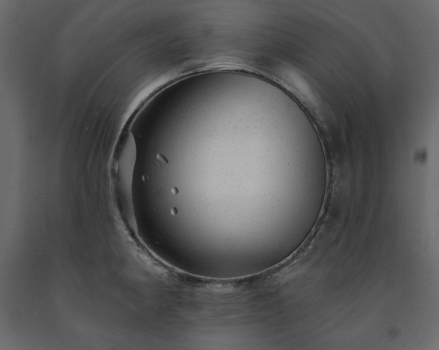 X0000091531190200708241705