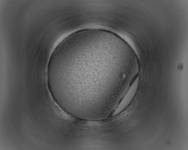 X0000091531191200708241705